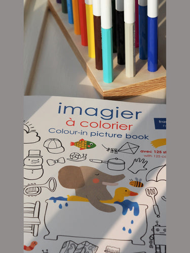 Colour-in Picture & Stickers Book