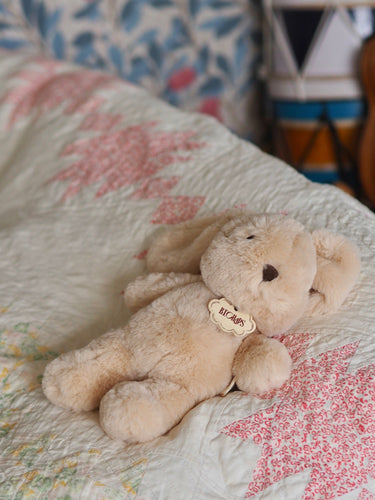 Bubbles the Bunny
