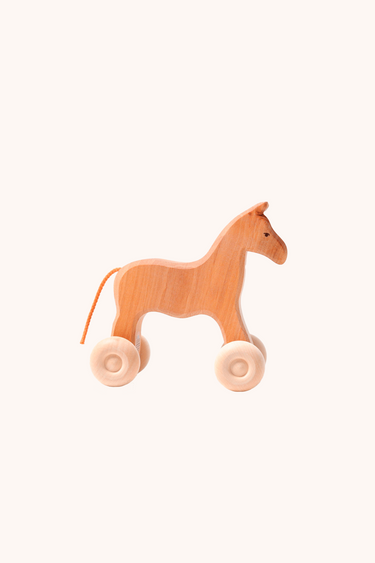 Willy the Wooden Horse