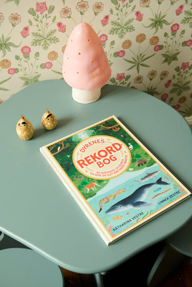 Small Mushroom Lamp Pink