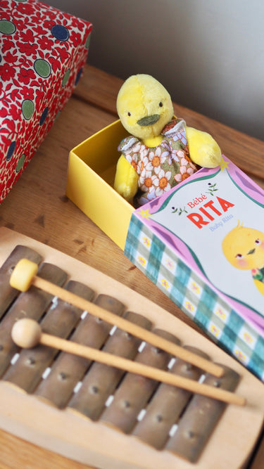 Baby Rita Duck in a Box