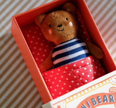 Mini Bear in a Box