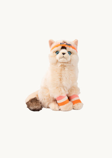 Katten 'Dolly the Ragdoll'